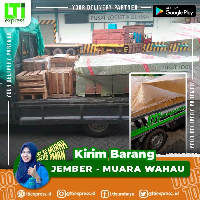 ekspedisi murah jember muara wahau