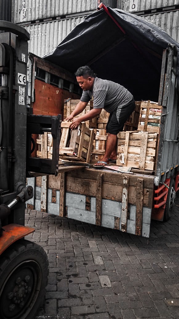 ekspedisi yogyakarta ke manokwari